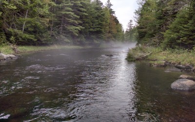 Roach River