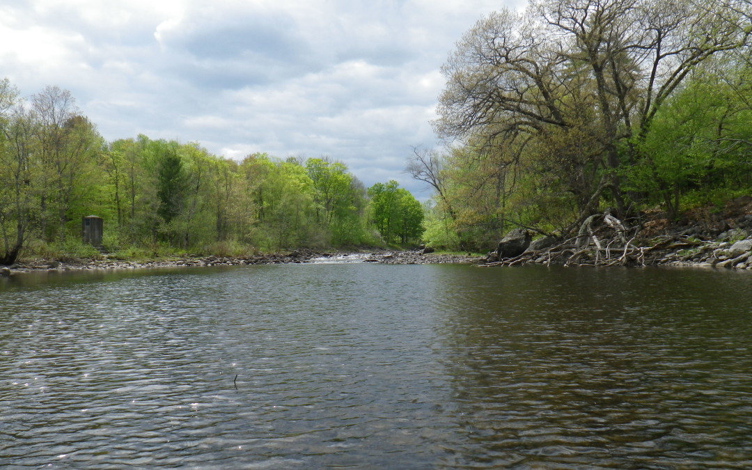 Sebec River: Home Water