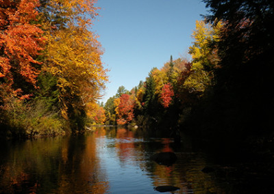 A look down the river in the Fall