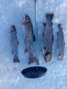 An ice fishing catch