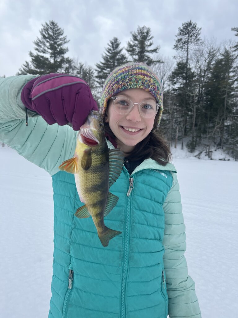 Perch fishing in Maine