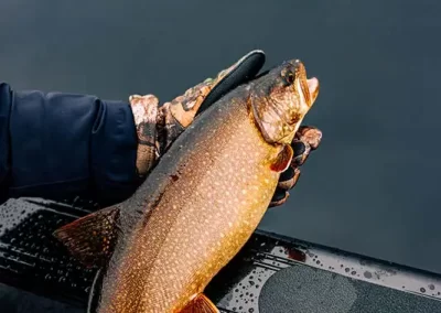A fish caught on a Sebago Lake fishing trip