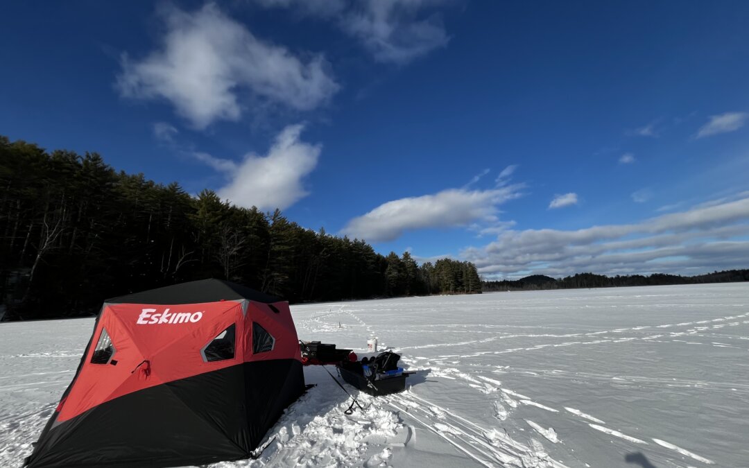 Ice Fishing Update 2025/2026